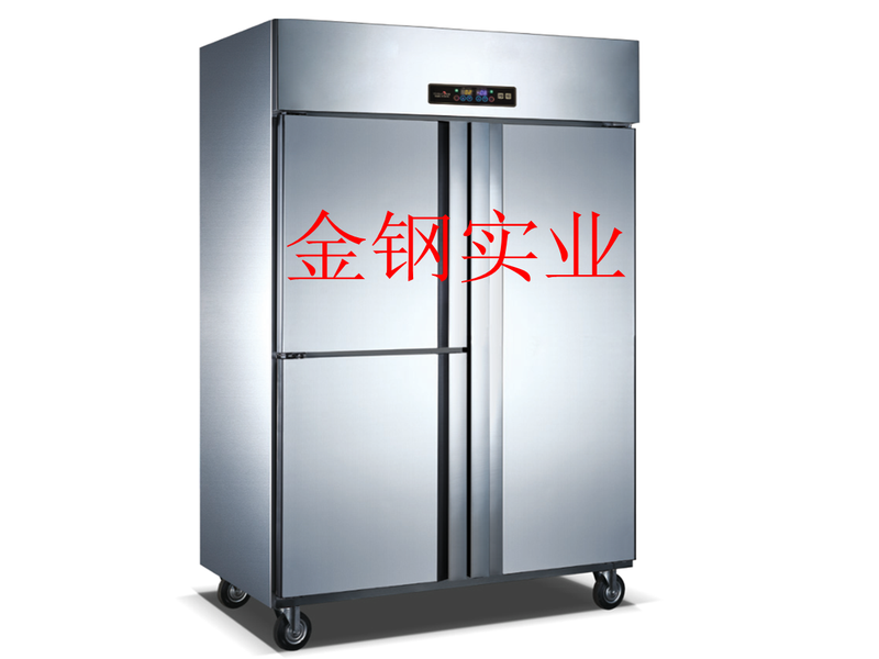 三门高身雪柜(双机双温）